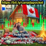 Quick Profits, Greater Freedom: The Promise of Pocket Option