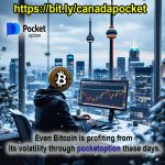 Unlock the Potential of Binary Trading: A Canadian’s Guide t Profitable Investments